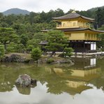 DSC207569-_DSC7313.JPG