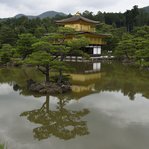 DSC207572-_DSC7316.JPG