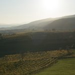 DSC180662-_DSC9993-UHD.jpg