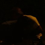 DSCF6930.JPG