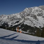 DSC233040-056-4.jpg