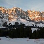 DSC233185-DSC_4124.JPG