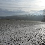 DSC233208-DSC_4147.JPG
