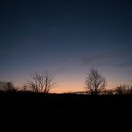 DSC233210-DSC_4149.JPG