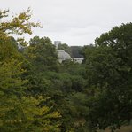 DSC237275-DSC_2999.JPG