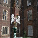 DSC237313-DSC_3041.JPG