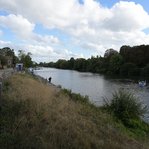 DSC237533-DSC_3292.JPG