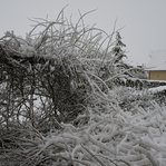 DSC245484-DSC_1493.JPG