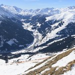 DSC245961-973-1.jpg